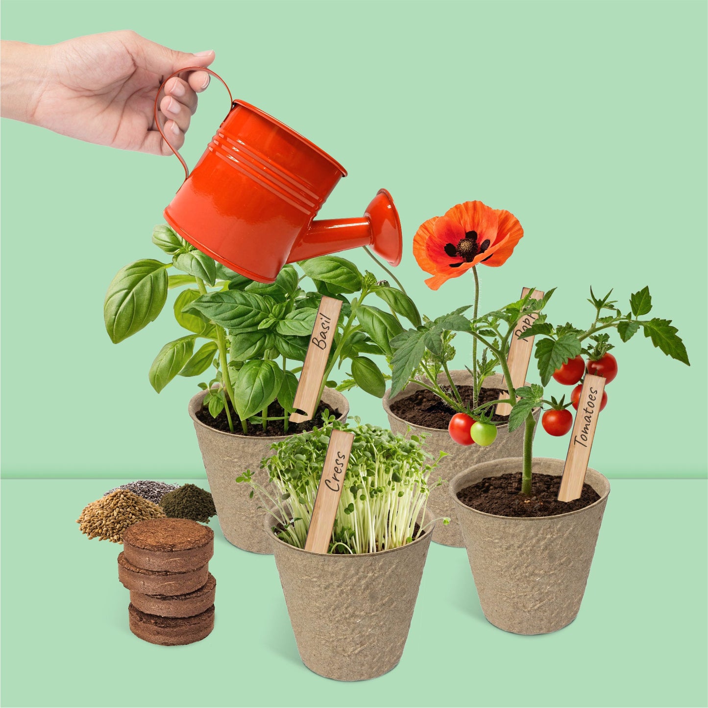 Boutique Garden 出品的「我的小花園」兒童種植套組