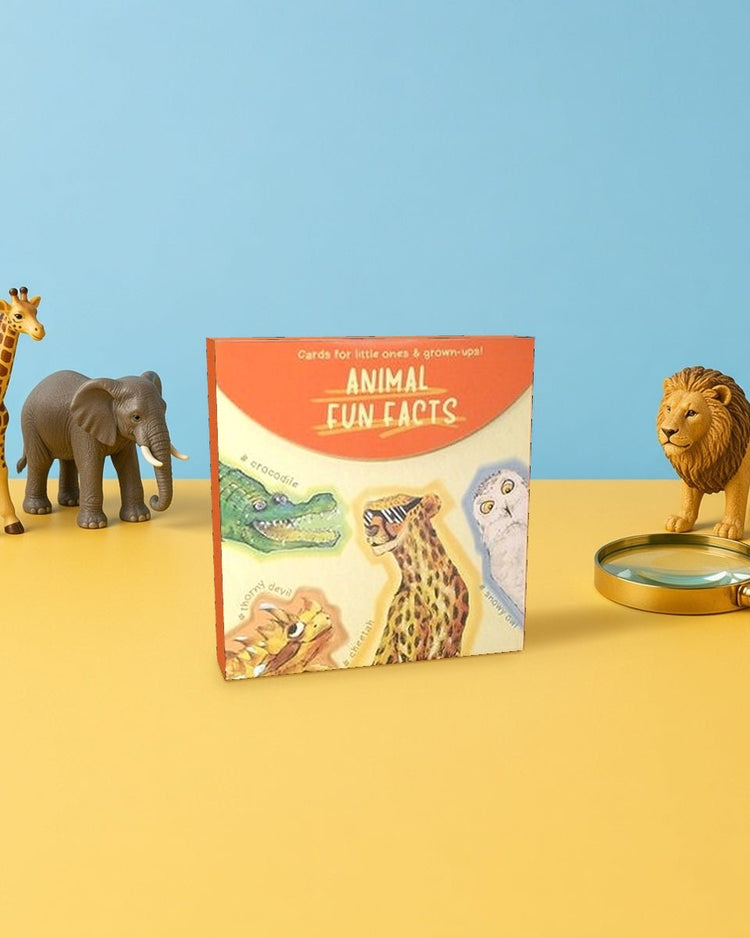 Animal Fun Facts Cards - BetterThanFlowers