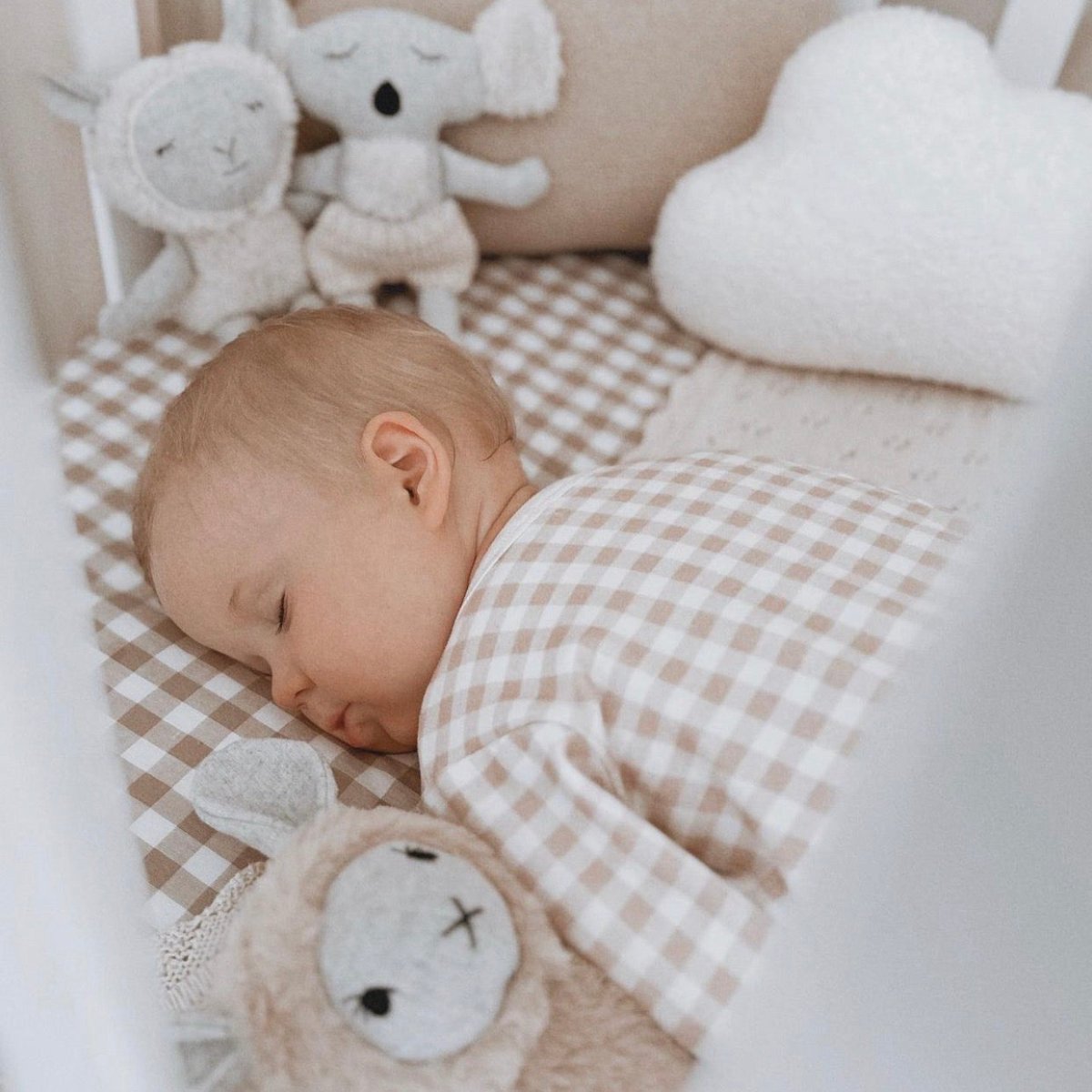 Bernard the Koala Soft Toy - BetterThanFlowers