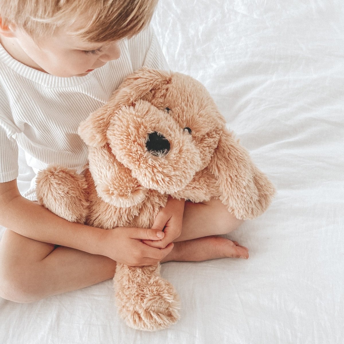 Charlie The Weighted Puppy Dog by Mindful & Co Kids - BetterThanFlowers