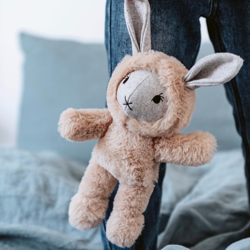 Clementine the Rabbit Soft Toy by and the little dog laughed - BetterThanFlowers