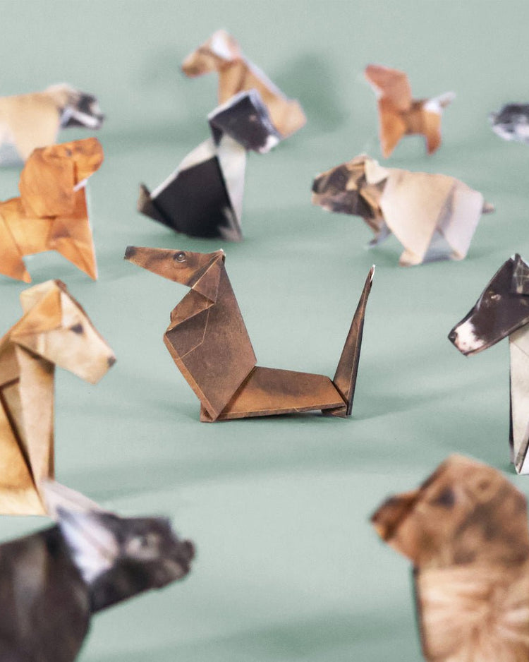DIY Origami Animal Craft Kit - BetterThanFlowers