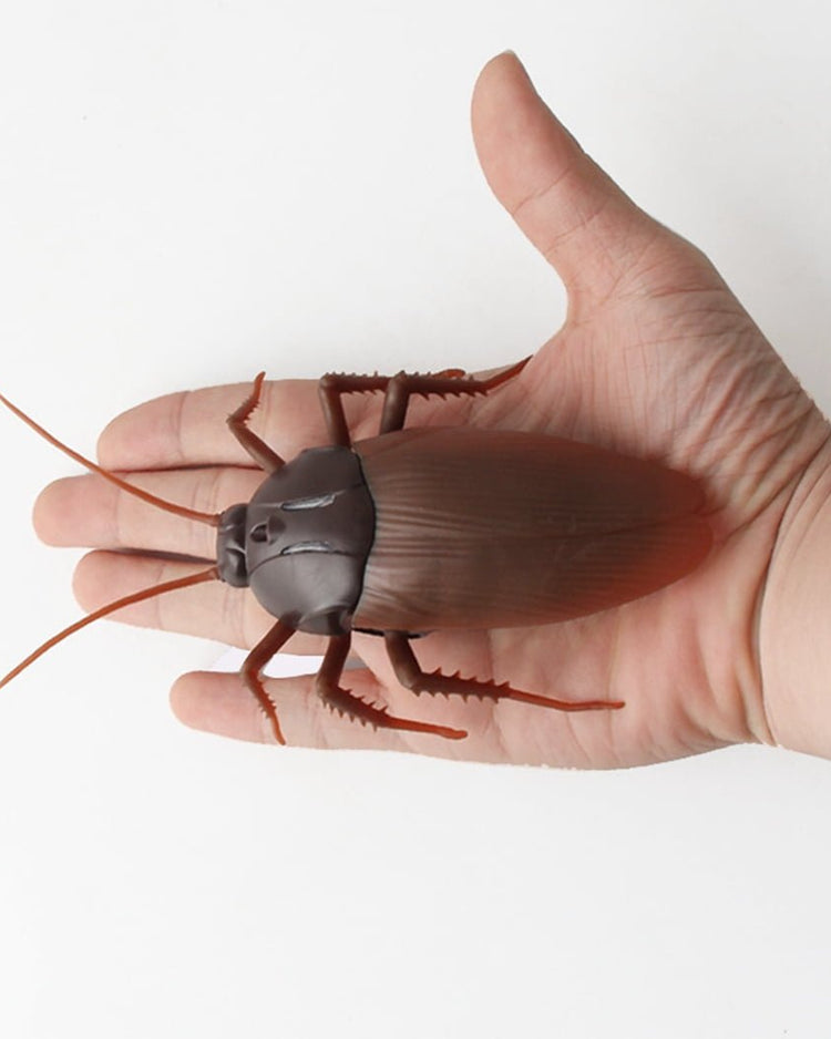 Infrared Remote Control Giant Roach - BetterThanFlowers