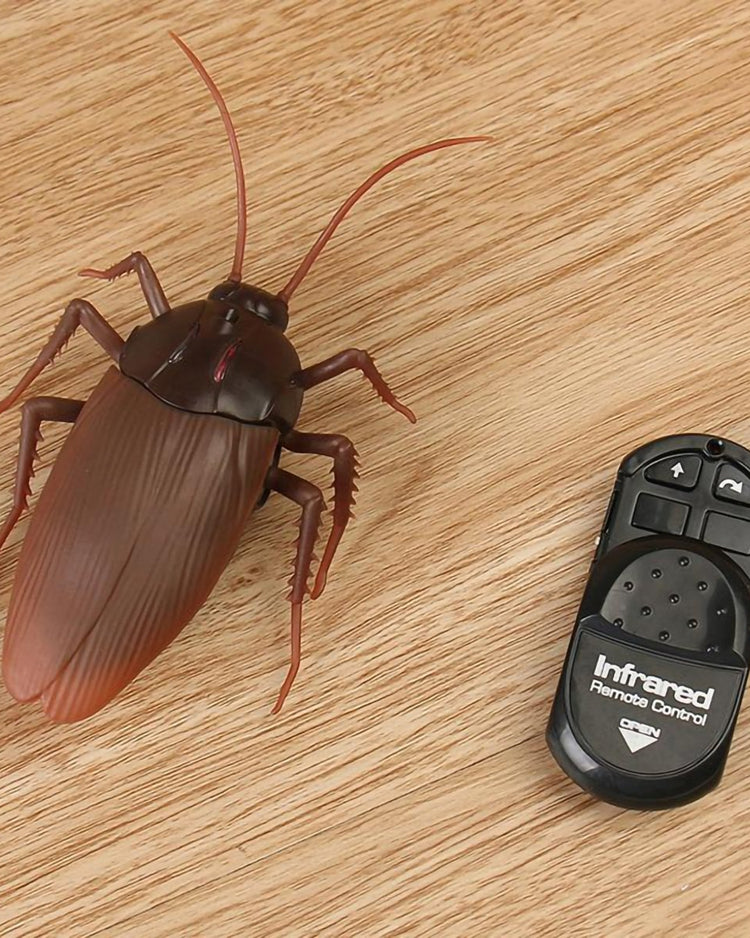 Infrared Remote Control Giant Roach - BetterThanFlowers