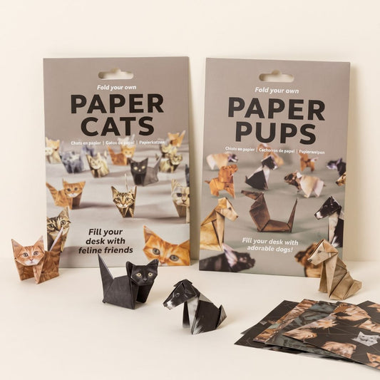 DIY Origami Animal Craft Kit