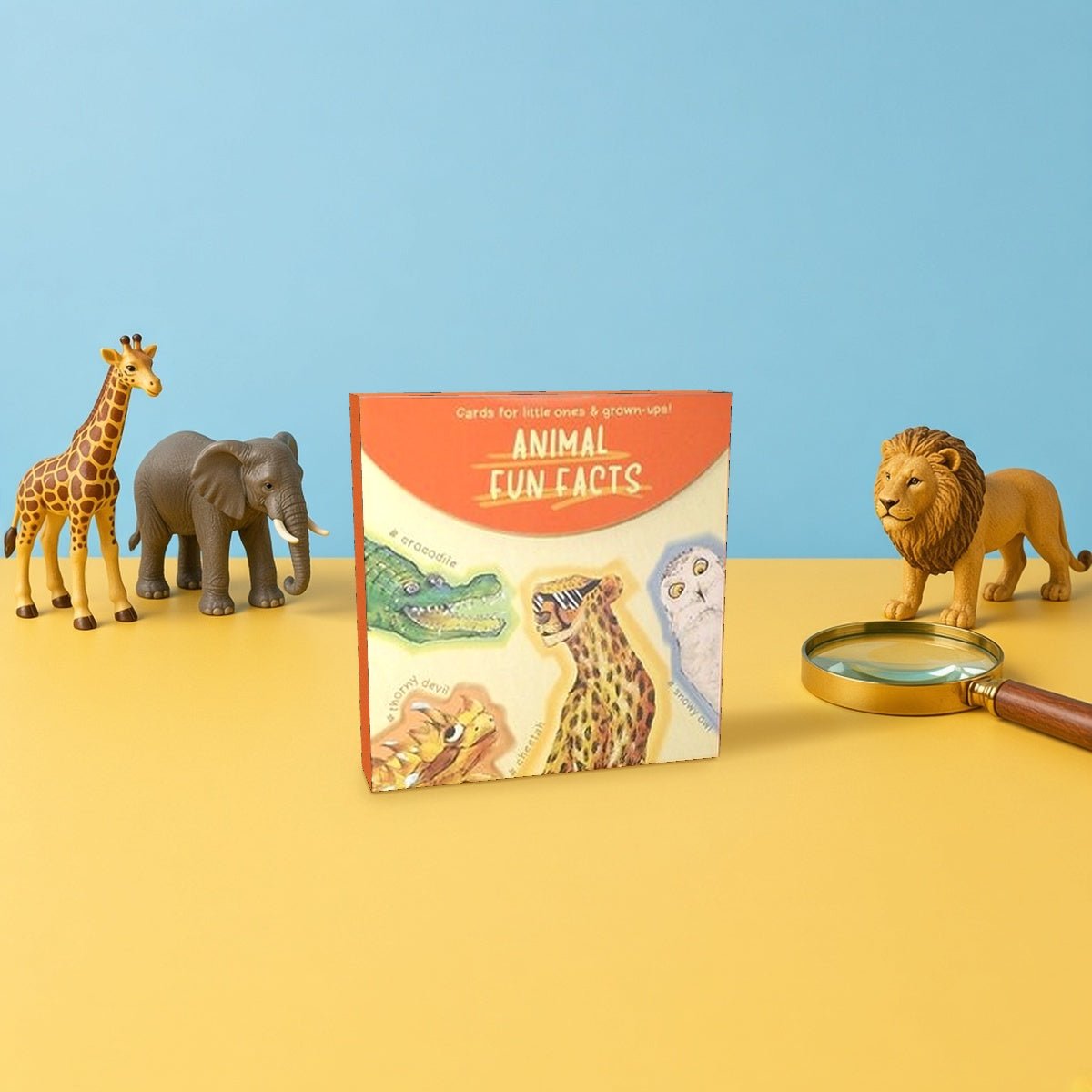 Animal Fun Facts Cards - BetterThanFlowers