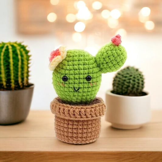Beginner Cactus Crochet Kit - BetterThanFlowers