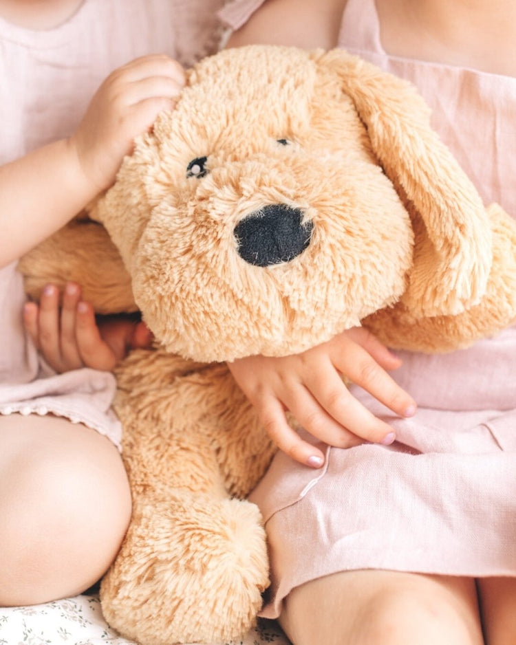Mindful & Co Kids 出品的《查理：這隻有重量的幼犬》 - BetterThanFlowers
