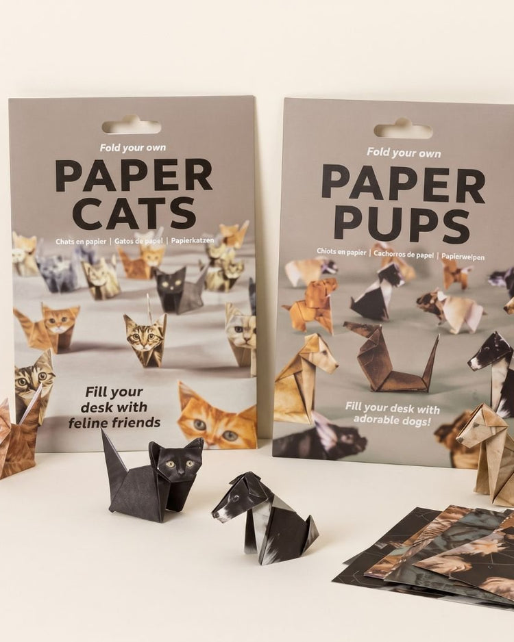 DIY Origami Animal Craft Kit - BetterThanFlowers