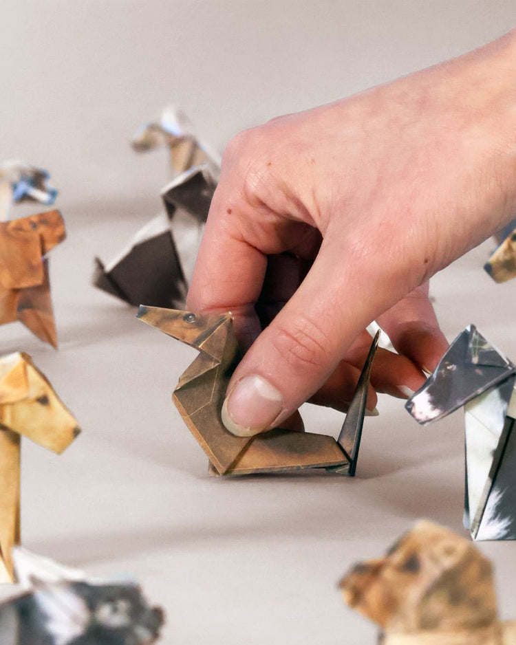 DIY Origami Animal Craft Kit - BetterThanFlowers