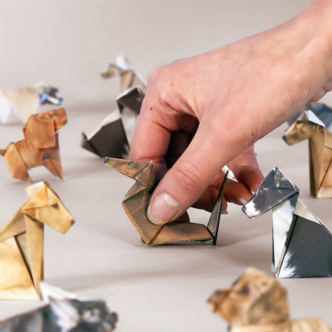 DIY Origami Animal Craft Kit - BetterThanFlowers