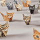 Paper Cats