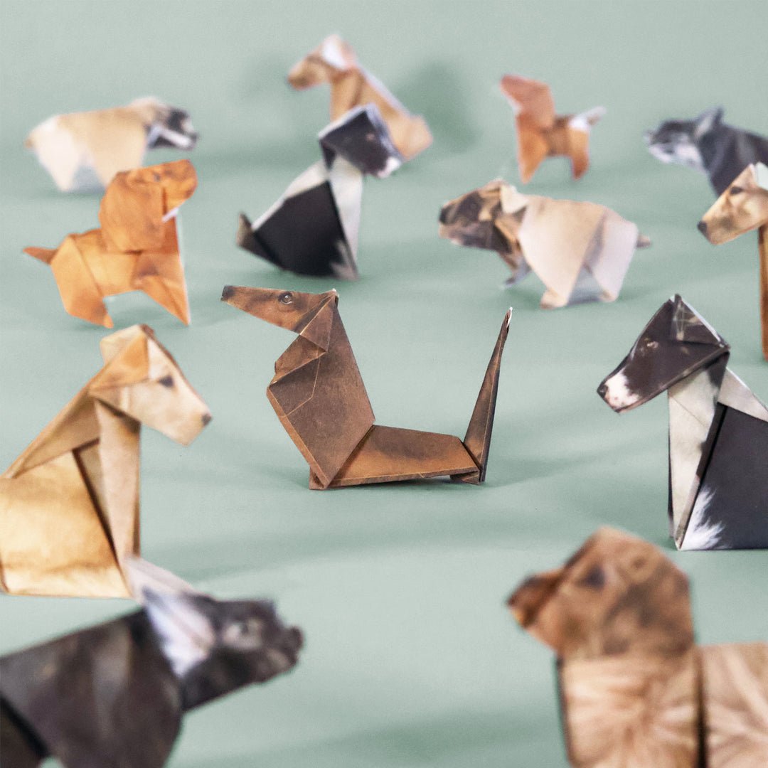 DIY Origami Animal Craft Kit - BetterThanFlowers