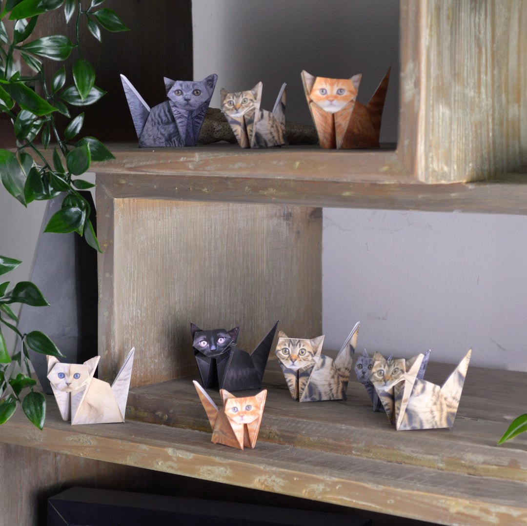 DIY Origami Animal Craft Kit - BetterThanFlowers