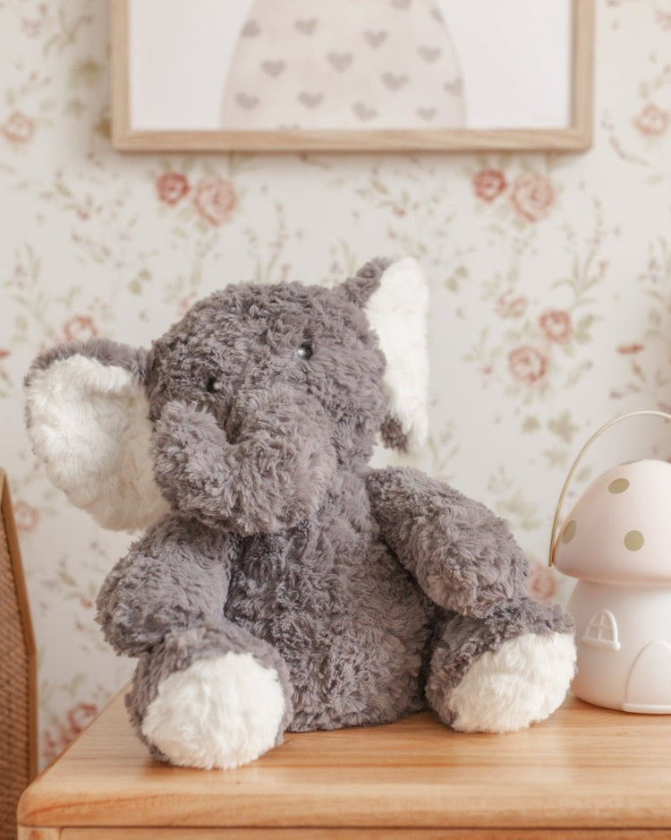 Mindful & Co Kids 出品的《Eleanor：那頭有重量的象》 - BetterThanFlowers