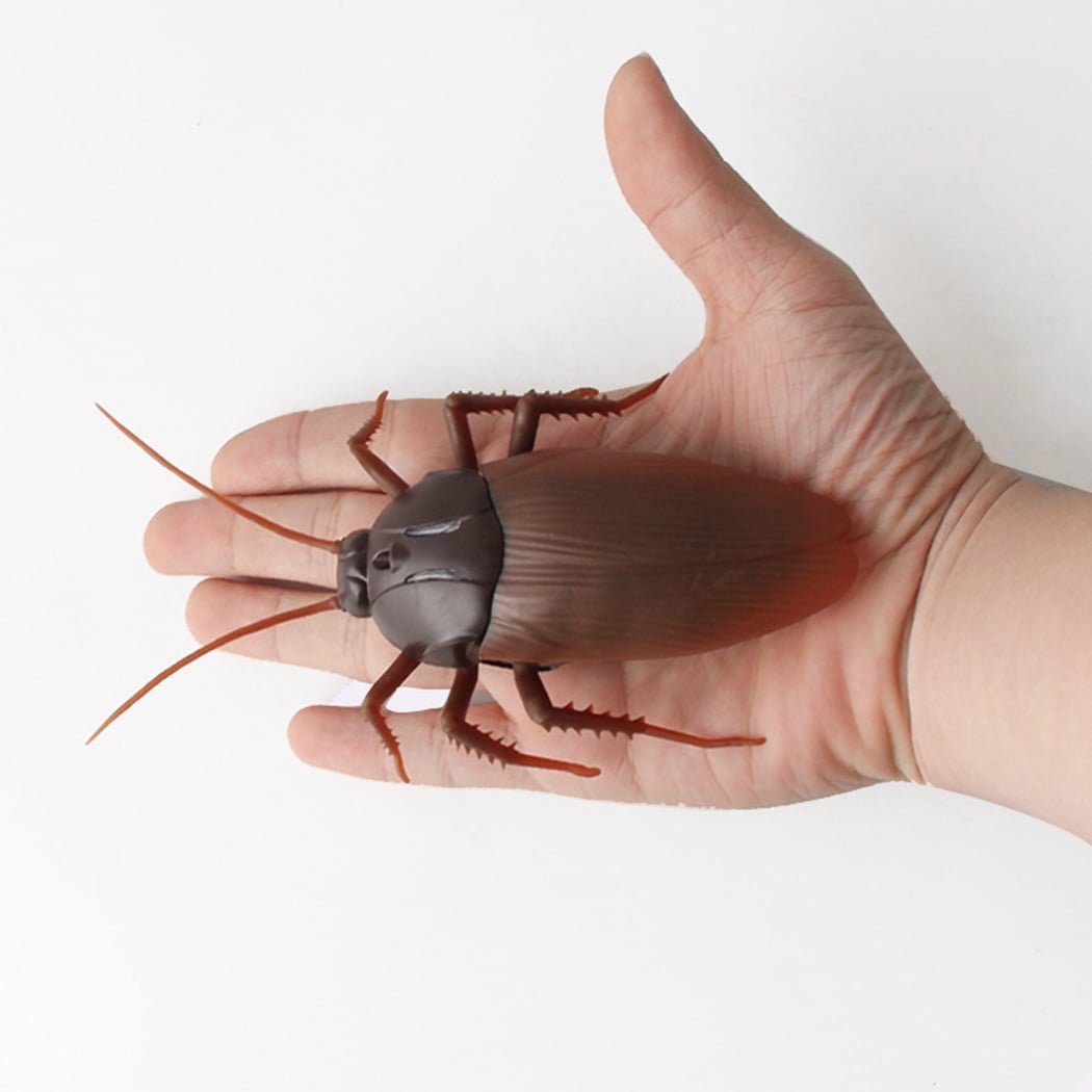 Infrared Remote Control Giant Roach - BetterThanFlowers