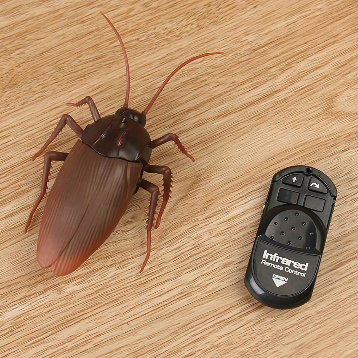 Infrared Remote Control Giant Roach - BetterThanFlowers