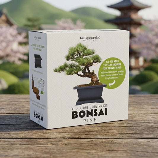 Boutique Garden 日式松樹盆景培育套組 - BetterThanFlowers