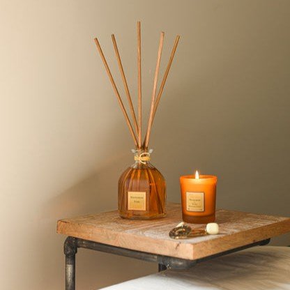 普羅旺斯山丘（Collines de Provence）柑橘與柚子香氛蠟燭 - BetterThanFlowers
