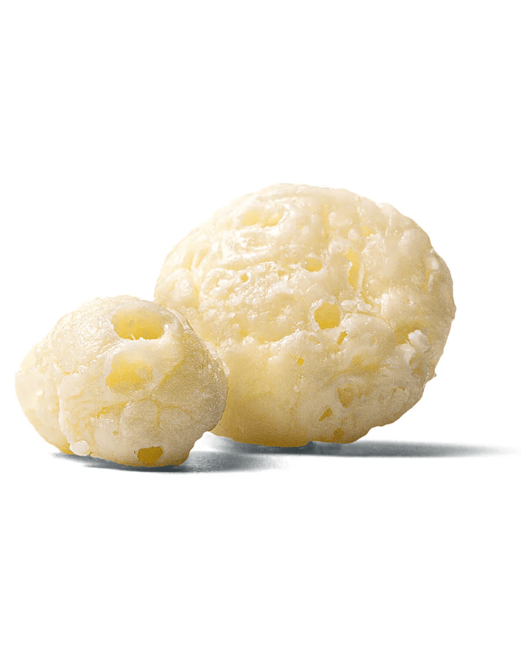 Moon Cheese 出品的「Oh My Gouda」中號 - BetterThanFlowers