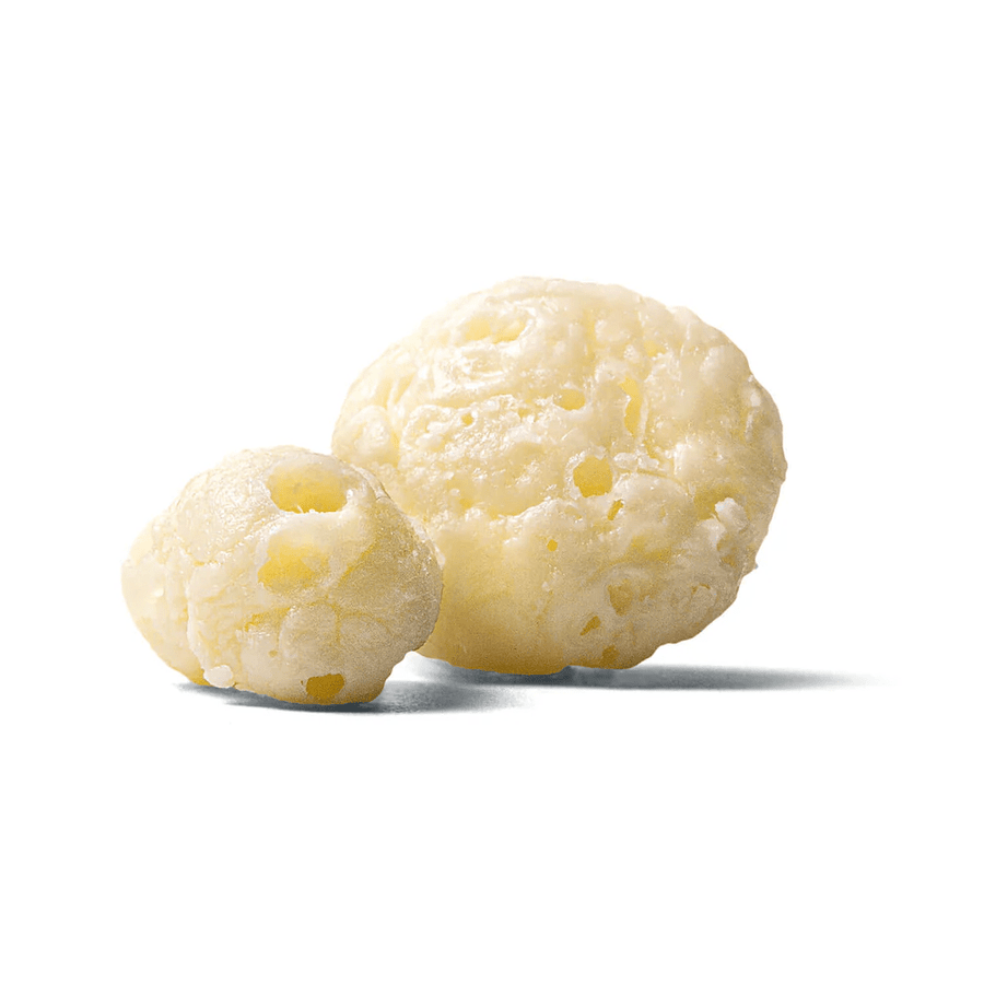 Moon Cheese 出品的「Oh My Gouda」中號 - BetterThanFlowers