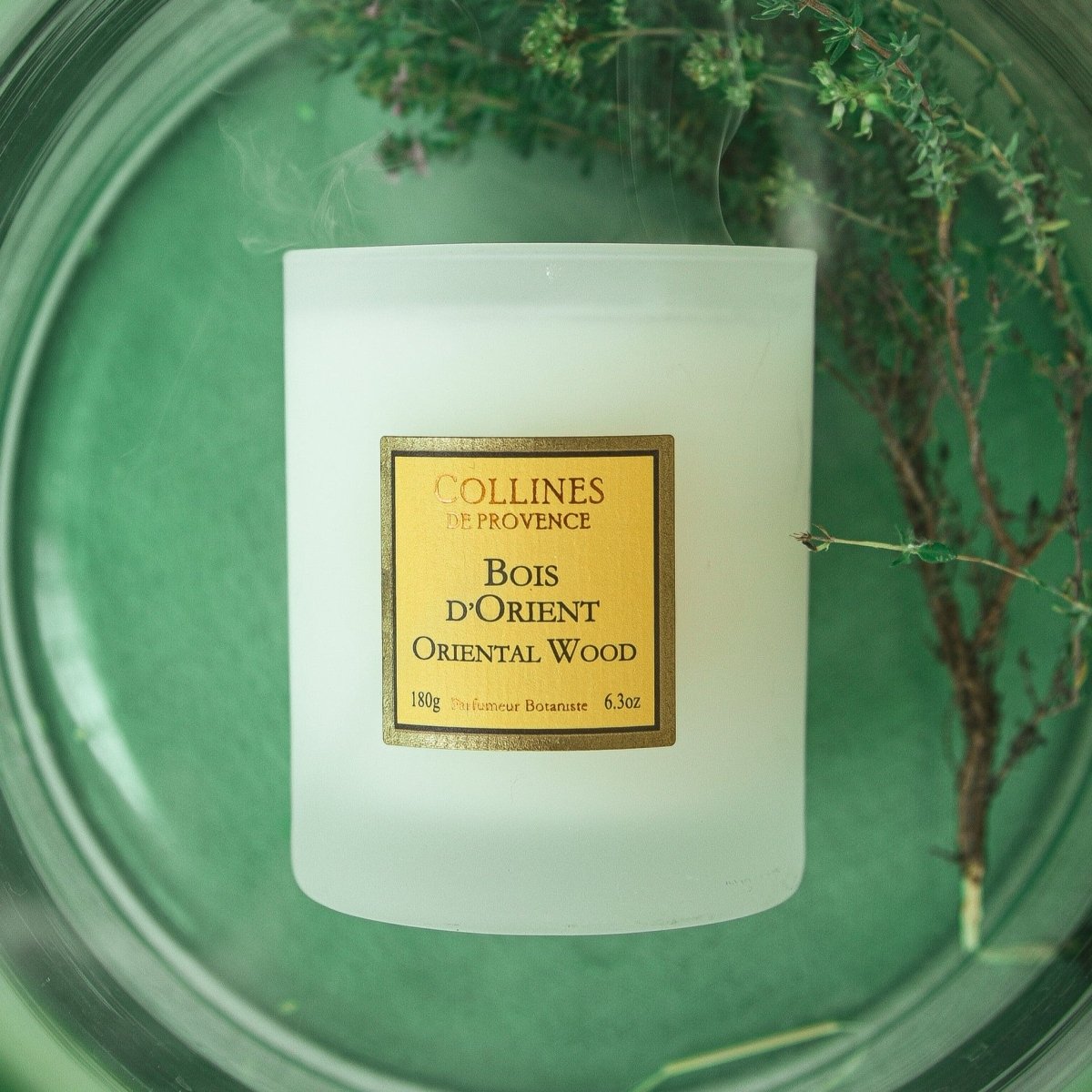 Oriental Wood Candle by Collines de Provence - BetterThanFlowers