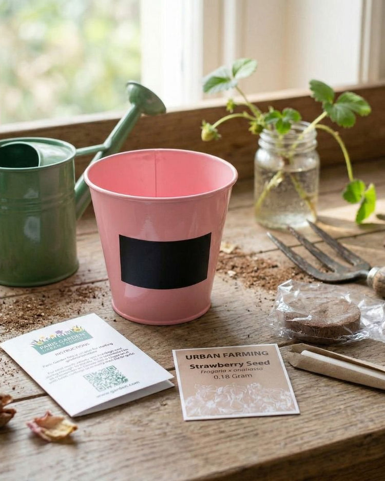 Pink Pot Strawberry Growing Kit by Boutique Garden - BetterThanFlowers