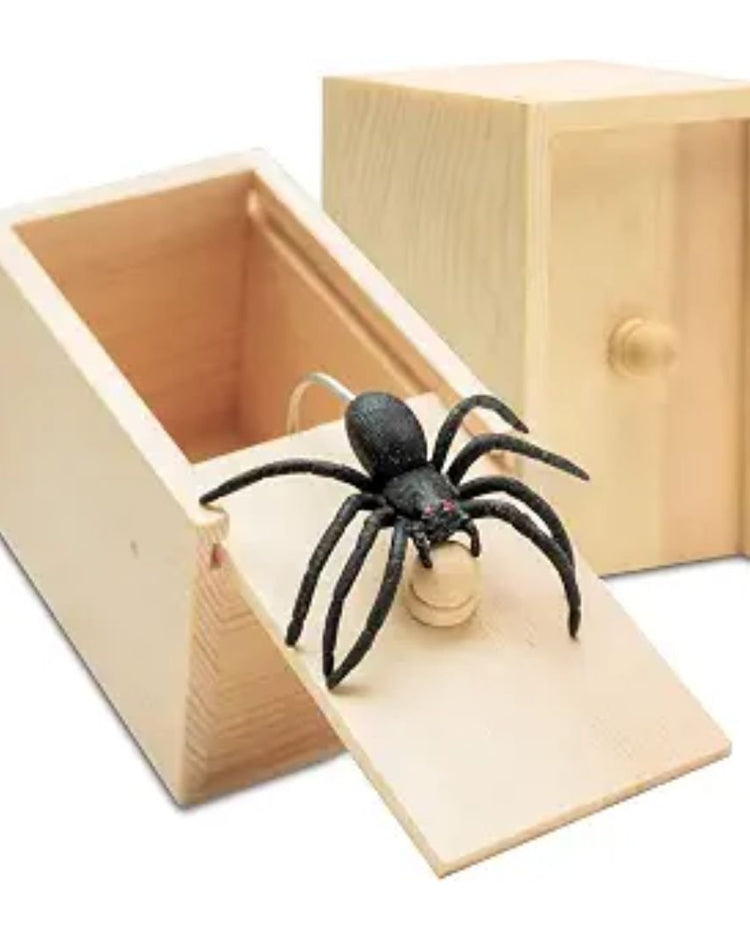 Spider Prank Surprise Box - BetterThanFlowers