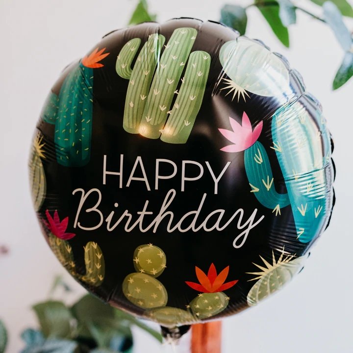 A Second Happy Birthday Cacti Balloon - BetterThanFlowers