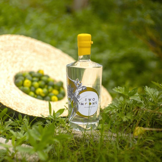 Bottle of Calamansi Gin by Two Moons - BetterThanFlowers