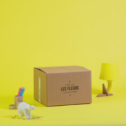 Balloon Box
