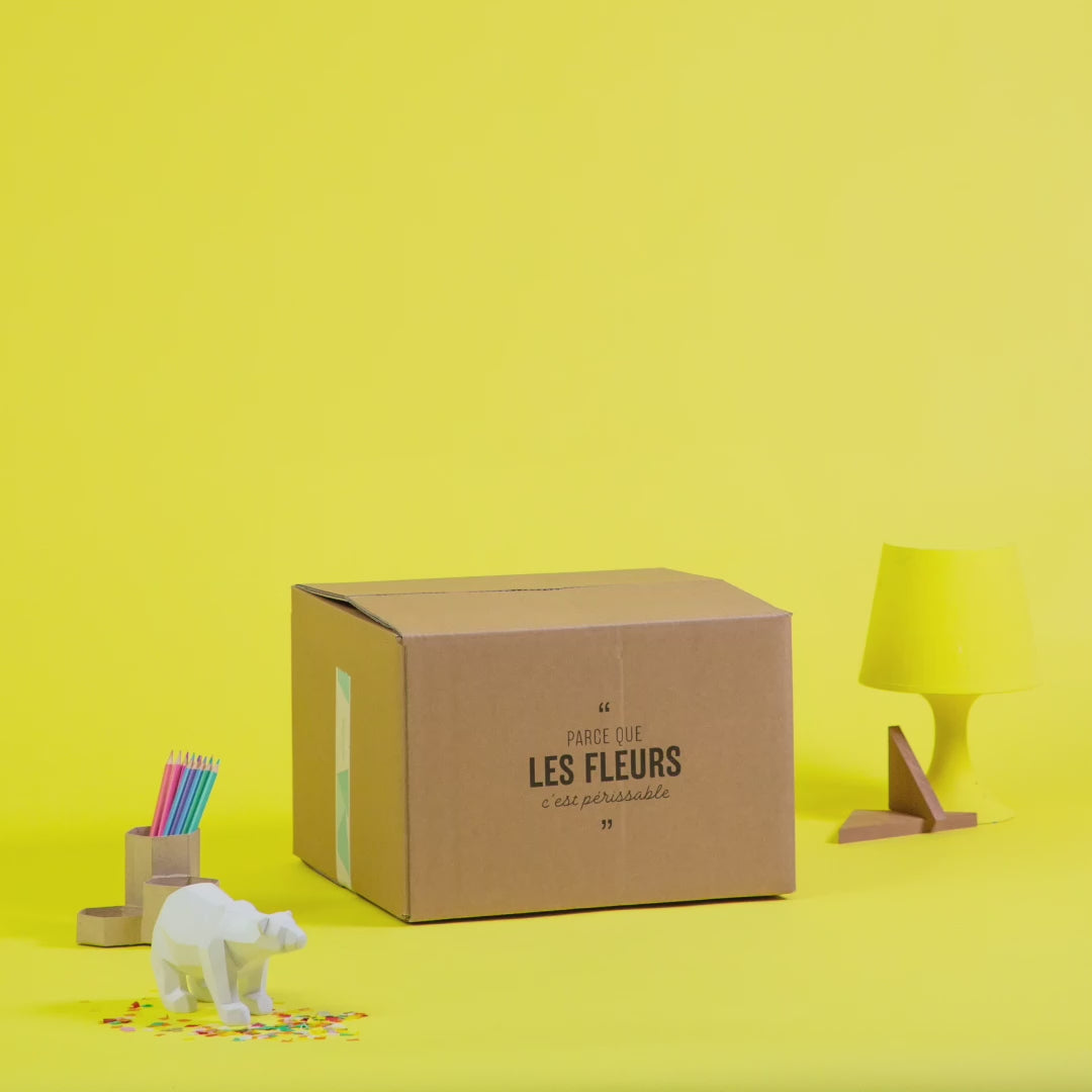 Balloon Box