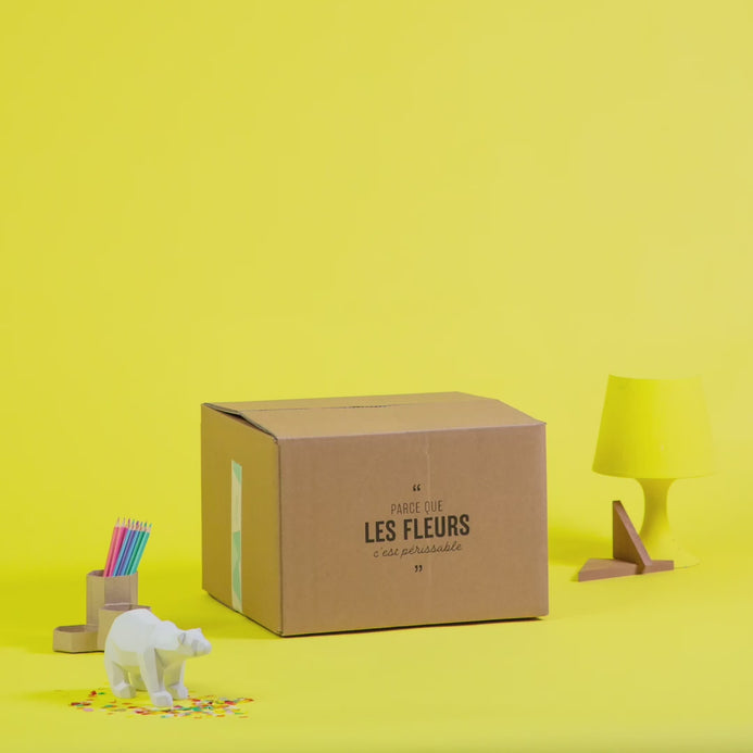 Balloon Box