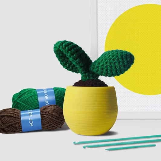 Cactus Leaf Crochet Kit - BetterThanFlowers