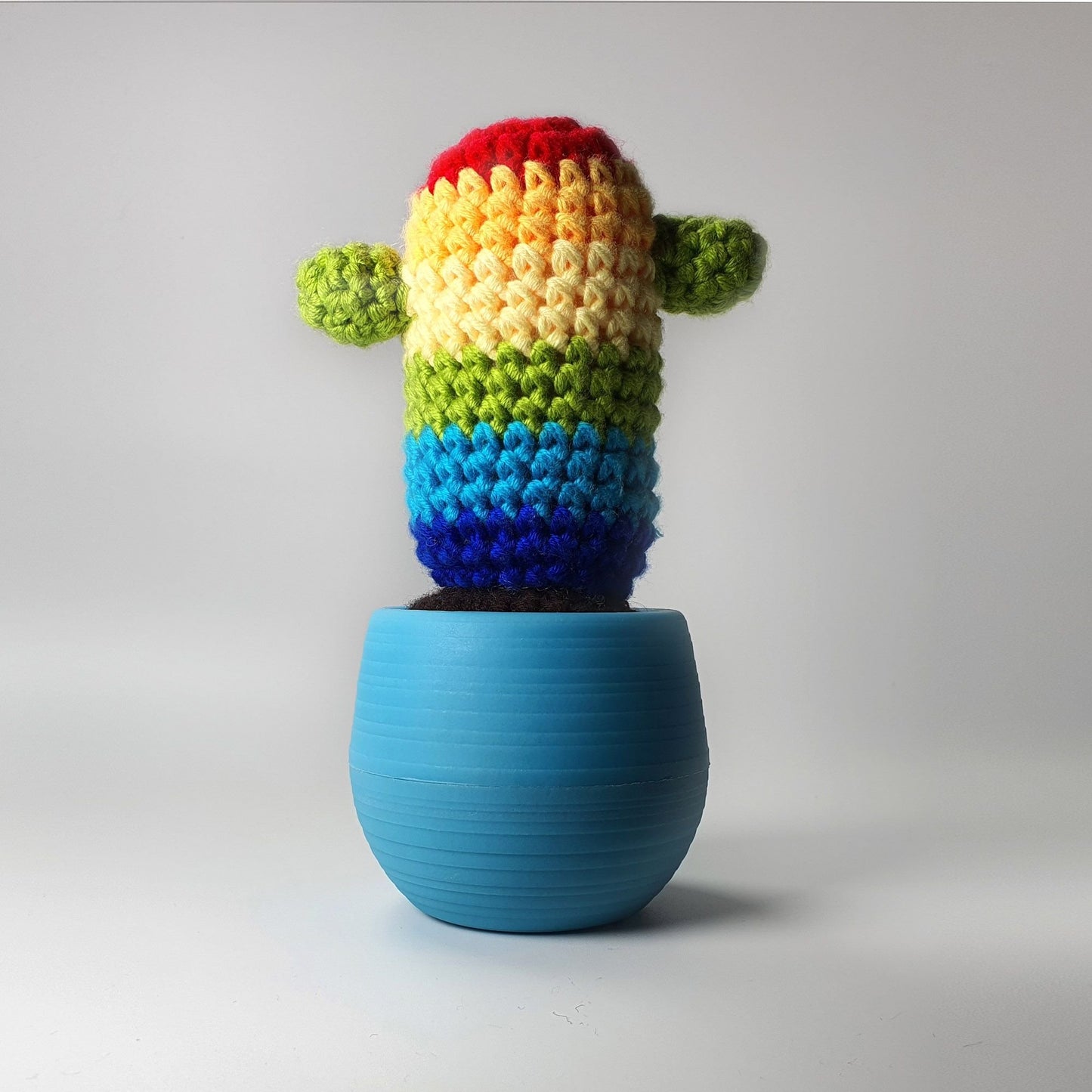 Cactus Rainbow Crochet Kit - BetterThanFlowers