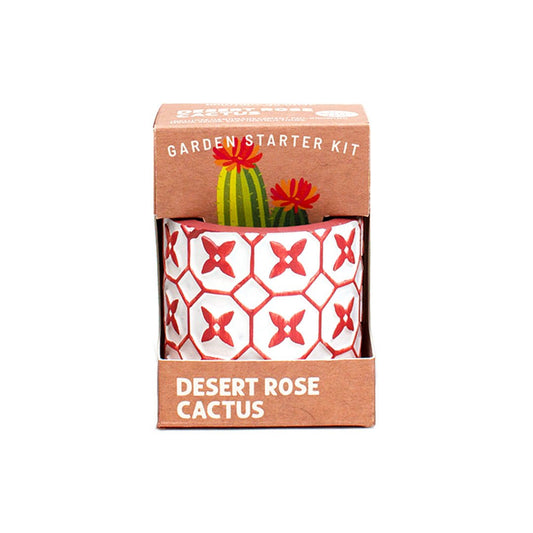Desert Rose Cactus Garden Starter Kit by Boutique Garden - BetterThanFlowers
