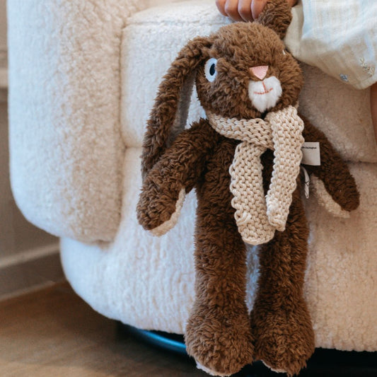 Frankie the Rabbit Soft Toy - BetterThanFlowers