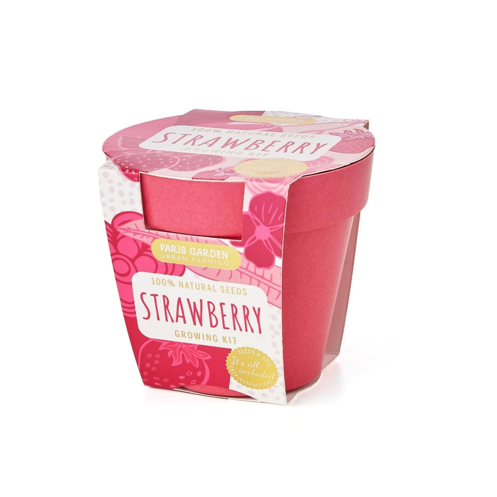 Grow your own Strawberries Kit by boutique garden - BetterThanFlowers
