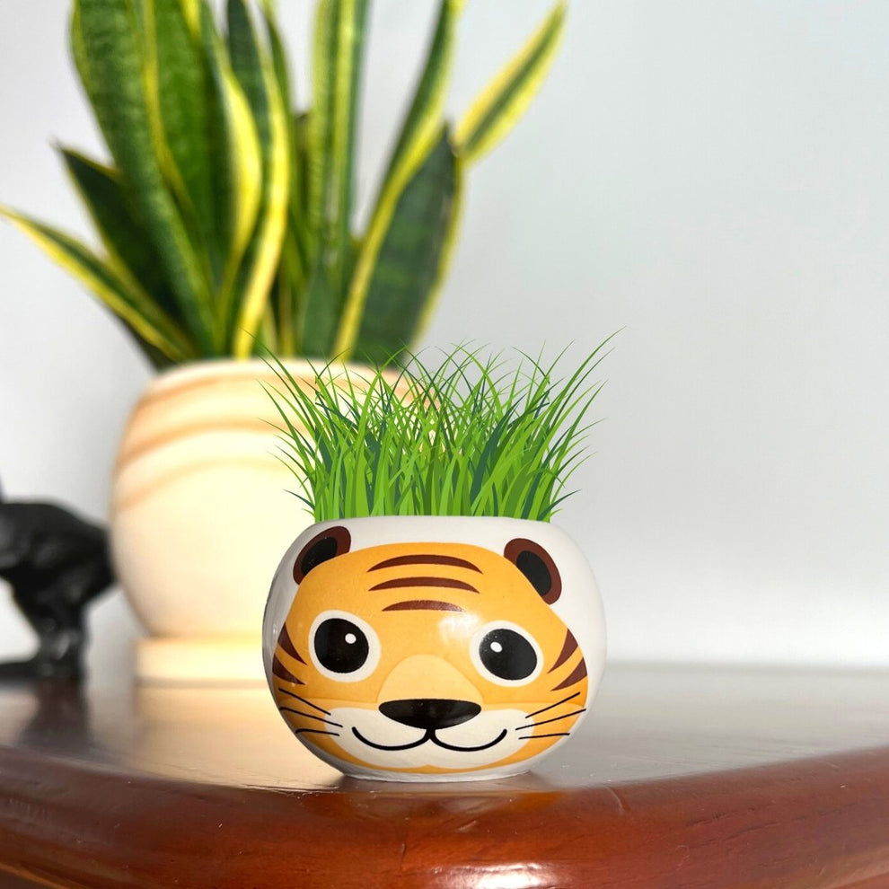 Grow Your Own Tiger by Boutique Garden - BetterThanFlowers