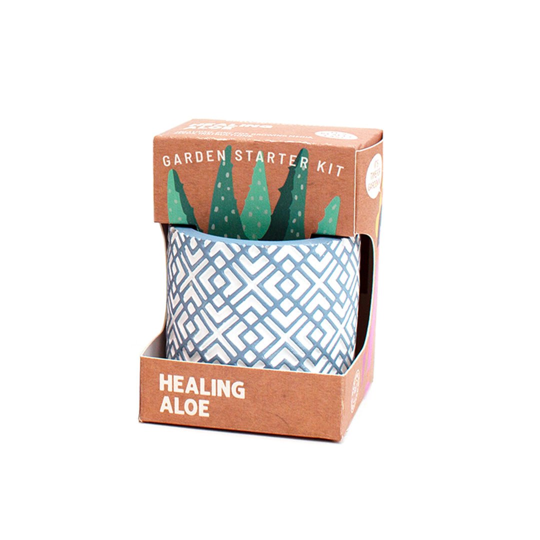Healing Aloe Garden Starter Kit by Boutique Garden - BetterThanFlowers