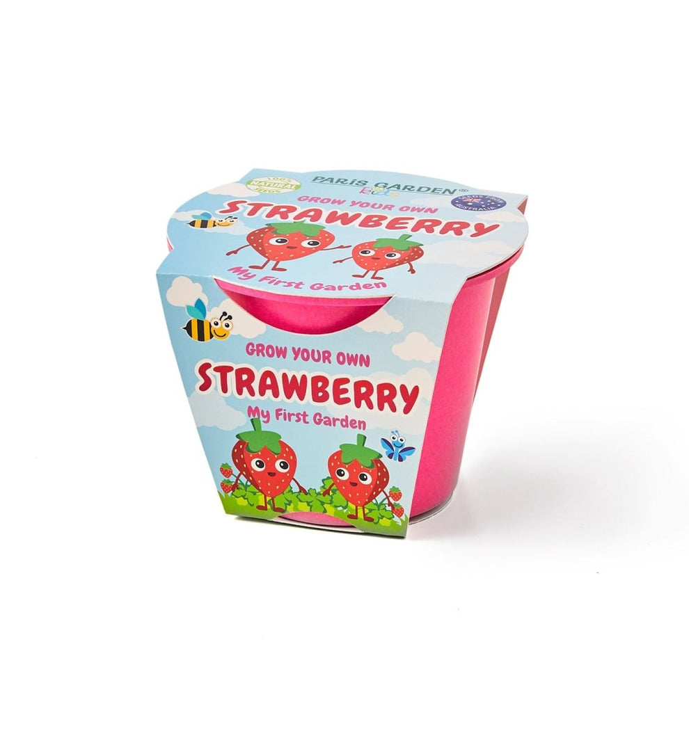 Kids Bio Pot Strawberry Kit by Boutique Garden - BetterThanFlowers