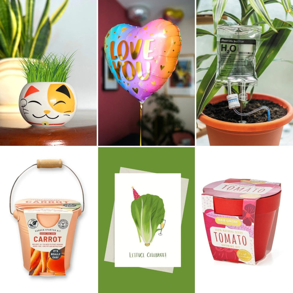 Mom's Green Thumb Gift Set - BetterThanFlowers