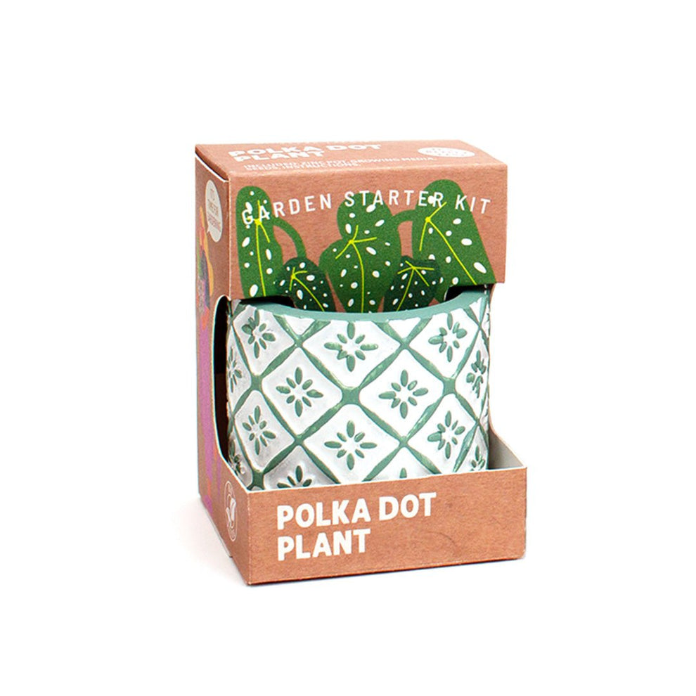 Polka Dot Garden Starter Kit by Boutique Garden - BetterThanFlowers